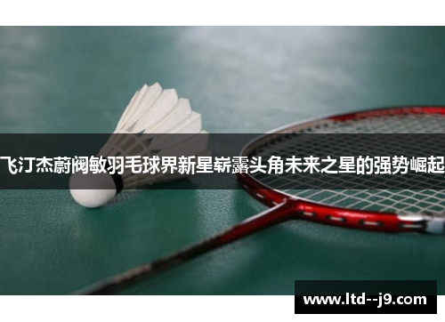 飞汀杰蔚阀敏羽毛球界新星崭露头角未来之星的强势崛起