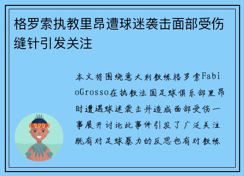 格罗索执教里昂遭球迷袭击面部受伤缝针引发关注 格罗索执教里昂遭球迷袭击面部受伤缝针引发关注